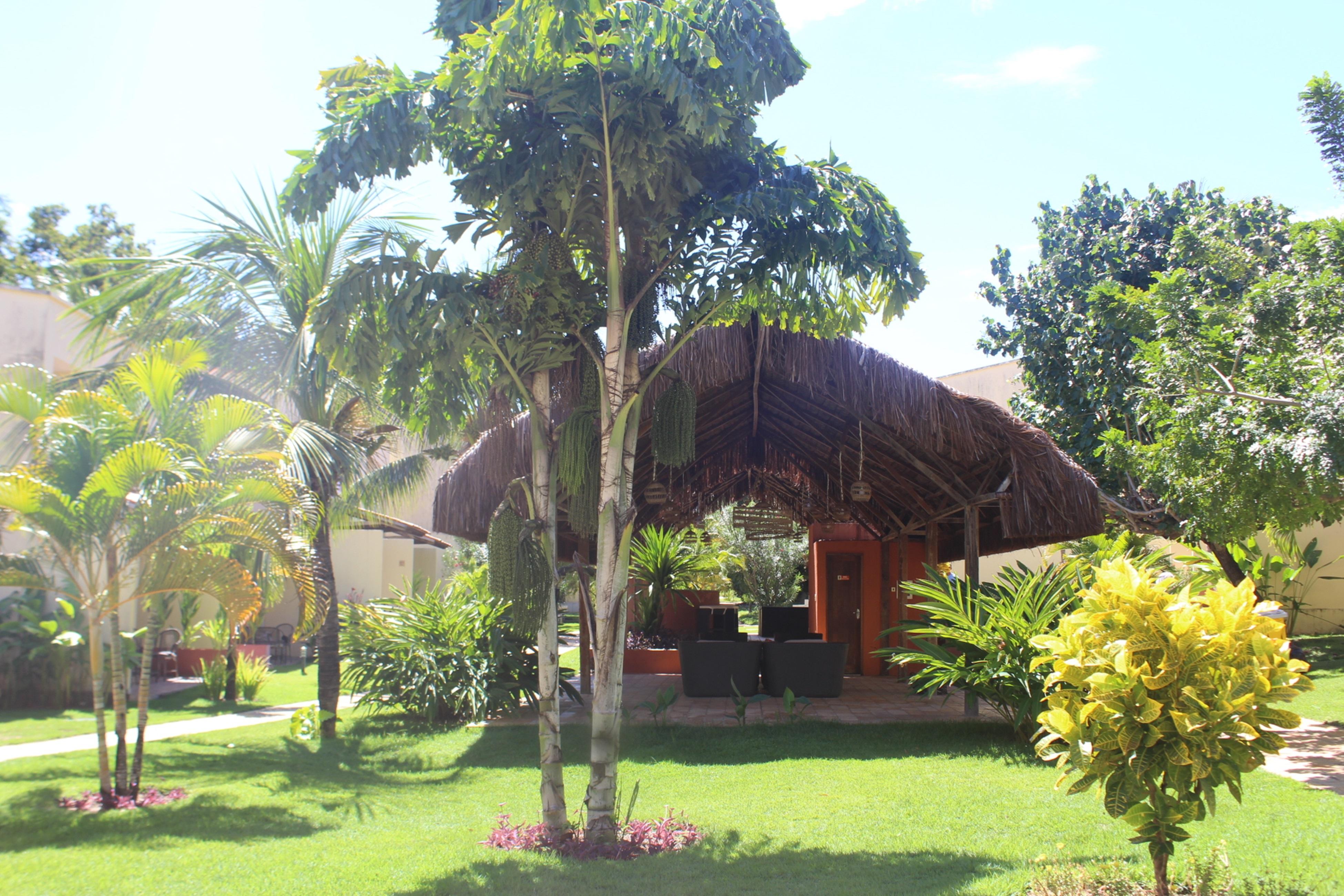 Hotel Pipa Atlantico Praia de Pipa Exteriör bild