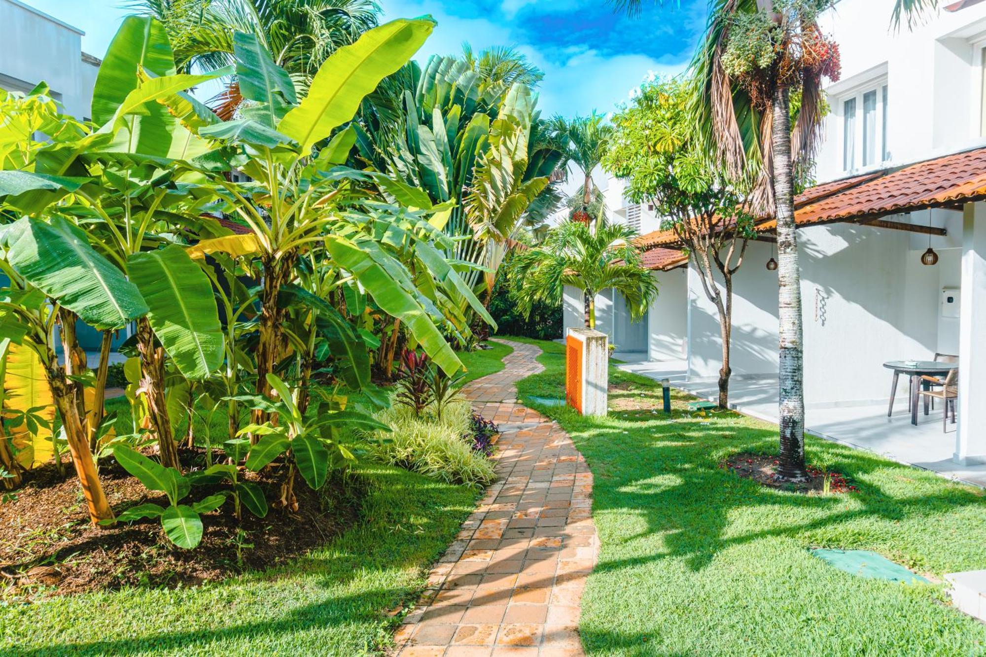 Hotel Pipa Atlantico Praia de Pipa Exteriör bild